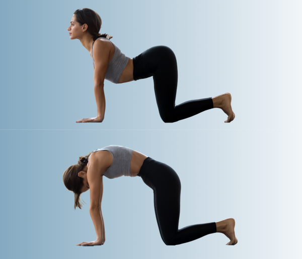 Woman practicing Cat/Cow yoga pose for perimenopause relief and hormone balance