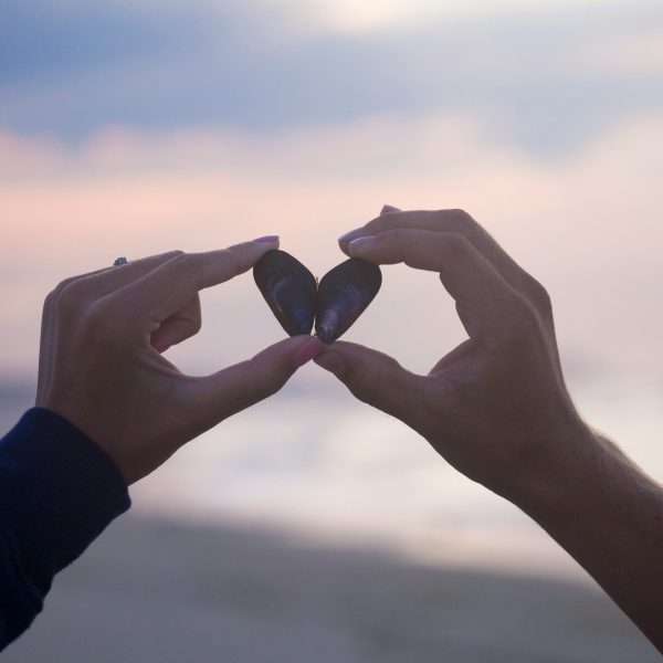 hands hold shells in the shape of a love heart on the beach