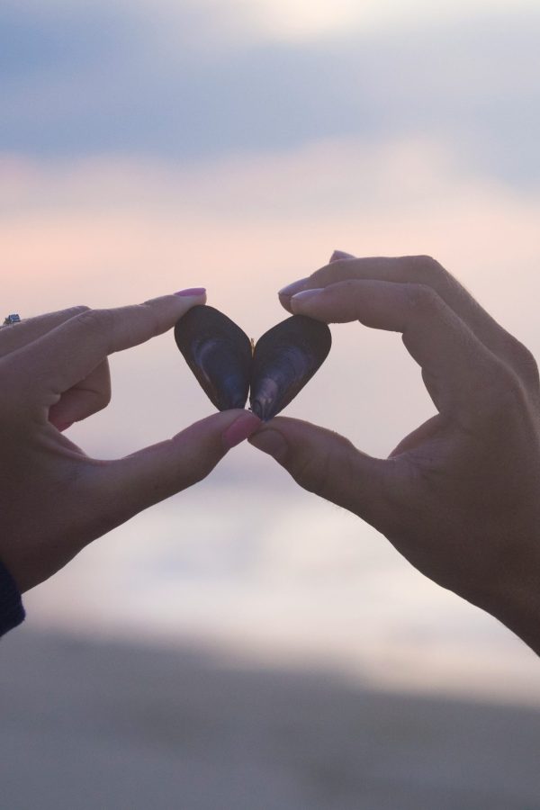 hands hold shells in the shape of a love heart on the beach